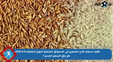 قفزة أسعار الأرز الشعير في الأسواق المحلية اليوم الجمعة 8-8-2025.. كم بلغ السعر الجديد؟